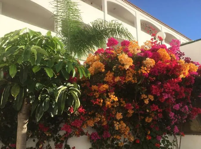 Daire Cozy Studio With Seaview *